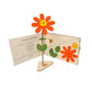 Happy Blooms - One & Only - Blooms out of the Box