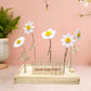 Happy Blooms 'Your logo' (vanaf 10) - Blooms out of the Box