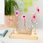 Happy Blooms 'Your logo' (vanaf 10) - Blooms out of the Box
