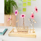 Happy Blooms 'Your logo' (vanaf 10) - Blooms out of the Box