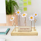 Happy Blooms 'Your logo' (vanaf 10) - Blooms out of the Box