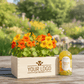 Happy Herbals - Citrus Spritz 'your logo' - duurzaam bloem- & plantcadeau | Blooms out of the Box