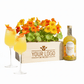 Happy Herbals - Citrus Spritz 'your logo' - duurzaam bloem- & plantcadeau | Blooms out of the Box