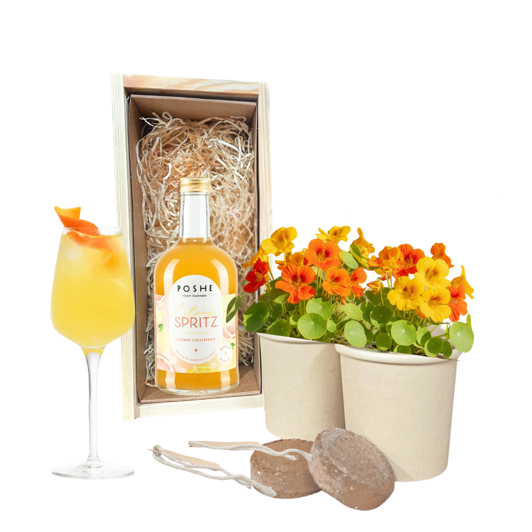 Happy Herbals - Citrus Spritz - Blooms out of the Box