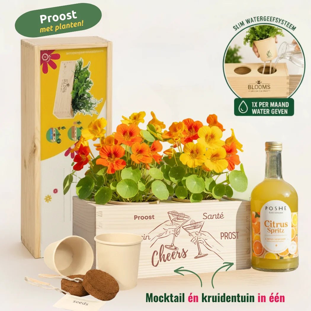Happy Herbals - Citrus Spritz - Blooms out of the Box