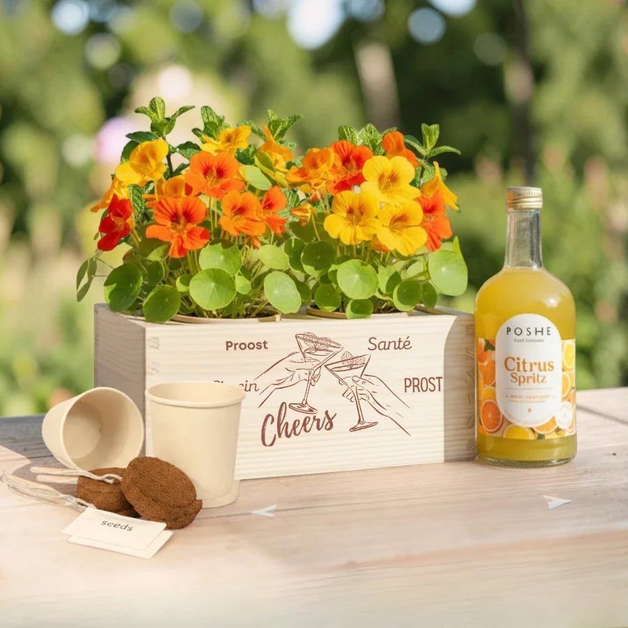 Happy Herbals - Citrus Spritz - Blooms out of the Box