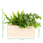 Happy Herbals - Mojito 'your logo' - Blooms out of the Box