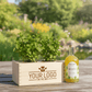 Happy Herbals - Mojito 'your logo' - Blooms out of the Box