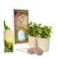 Happy Herbals - Mojito - Blooms out of the Box