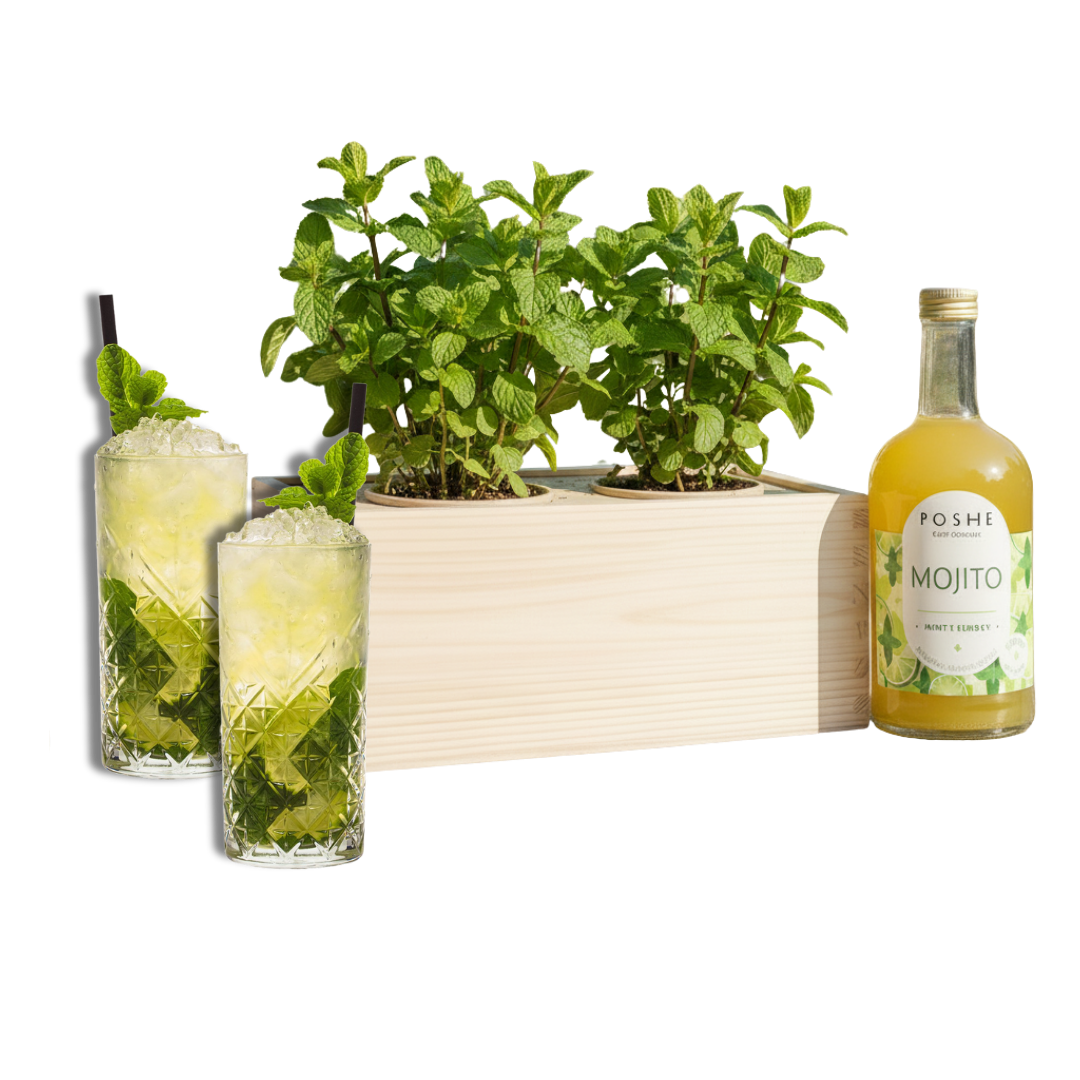 Happy Herbals - Mojito - Blooms out of the Box