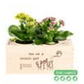 Joy out of the Box 'Aandacht + gemeente Amsterdam - logo' - Blooms out of the Box