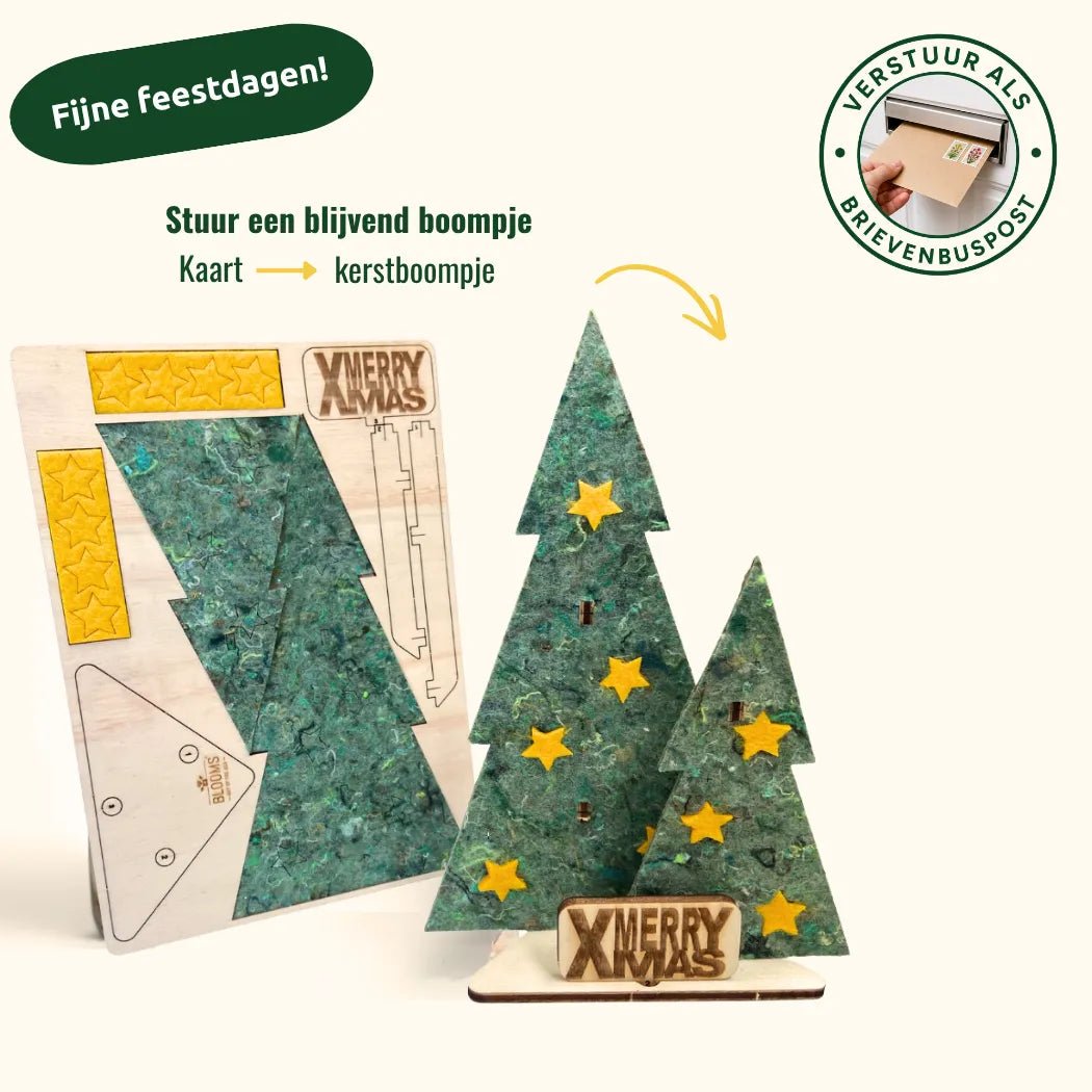Kerstpost - Duo (8 stk) - duurzaam bloem- & plantcadeau | Blooms out of the Box
