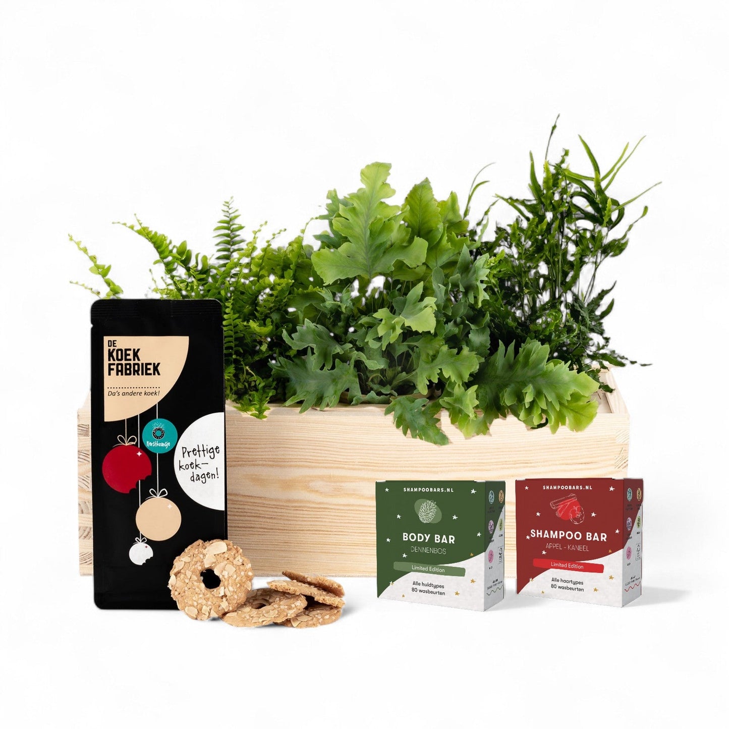 Nature 'Beyond the Box' - L - Blooms out of the Box