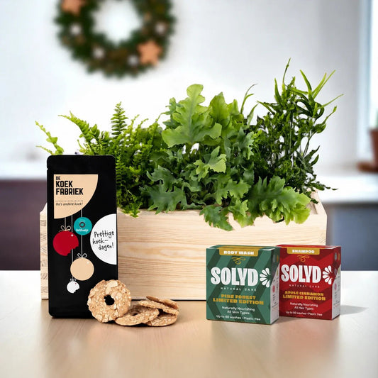 Nature 'Beyond the Box' - L - duurzaam bloem- & plantcadeau | Blooms out of the Box