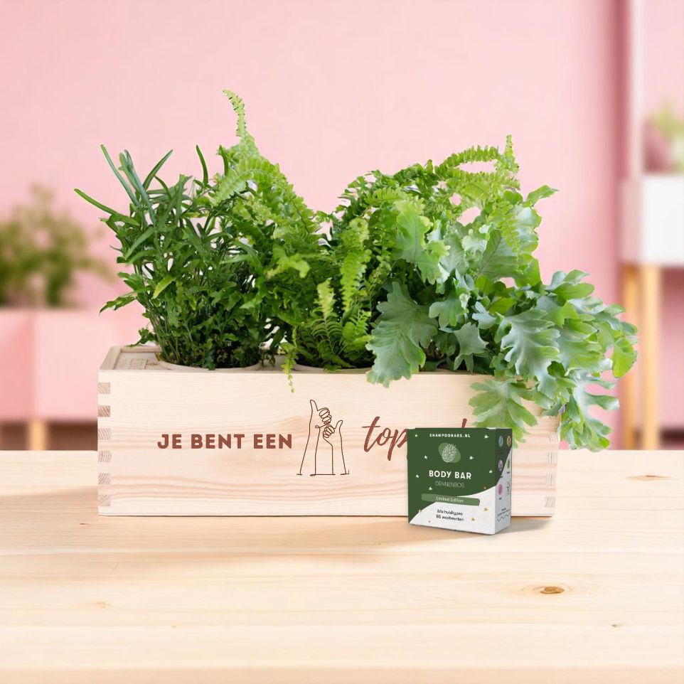 Nature 'Forest Fresh' - L - Blooms out of the Box