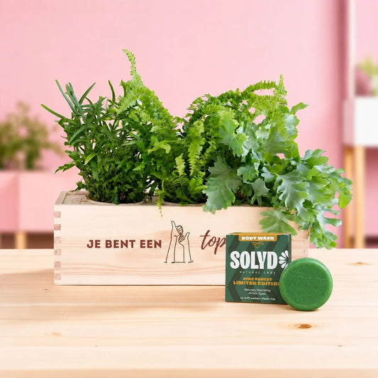 Nature 'Forest Fresh' - L - duurzaam bloem- & plantcadeau | Blooms out of the Box