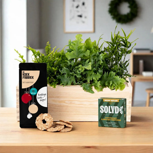 Nature 'Impact inside' - L - duurzaam bloem- & plantcadeau | Blooms out of the Box