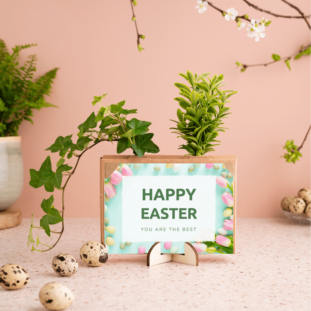 Nature out of the Box - Mini - Blooms out of the Box