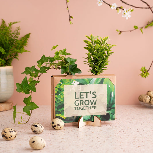 Nature out of the Box - Mini - duurzaam bloem- & plantcadeau | Blooms out of the Box