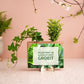 Nature out of the Box - Mini - duurzaam bloem- & plantcadeau | Blooms out of the Box