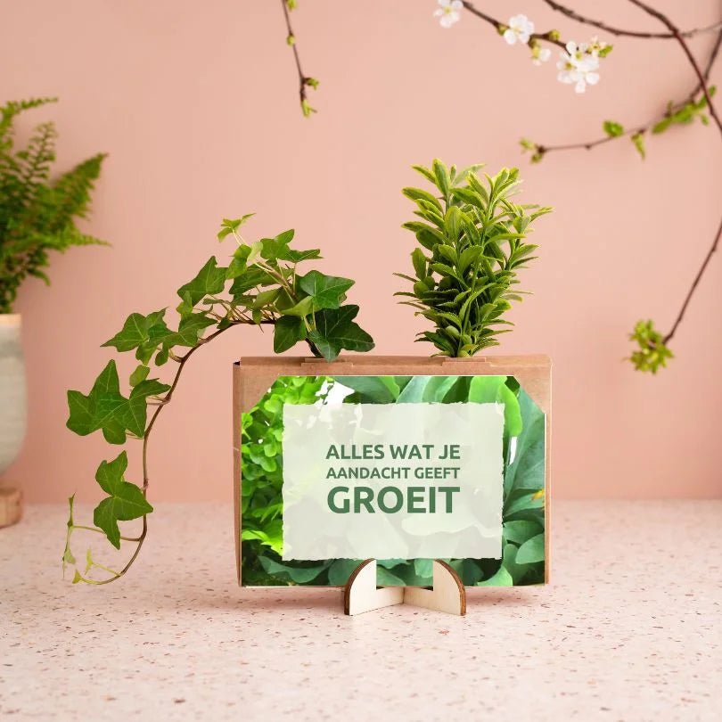Nature out of the Box - Mini - duurzaam bloem- & plantcadeau | Blooms out of the Box