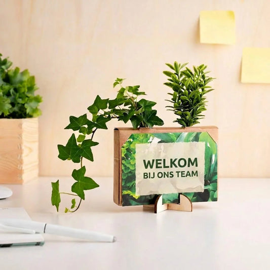 Nature out of the Box - Mini - duurzaam bloem- & plantcadeau | Blooms out of the Box