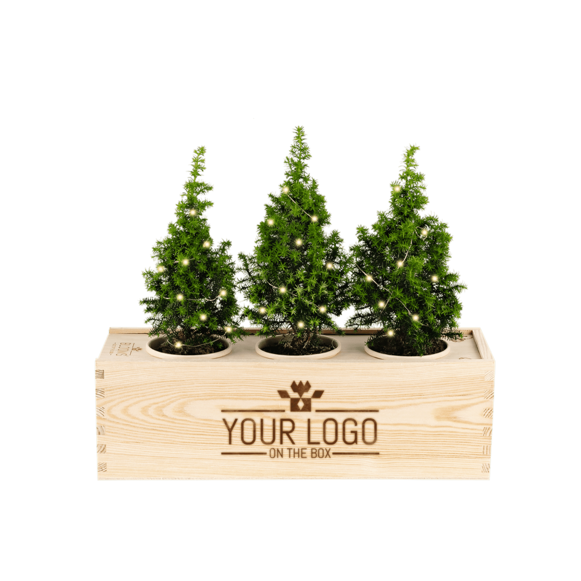 Nature out of the Box 'your design' - L - Blooms out of the Box