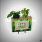 Nature out of the Box - Mini – Clean Showcase