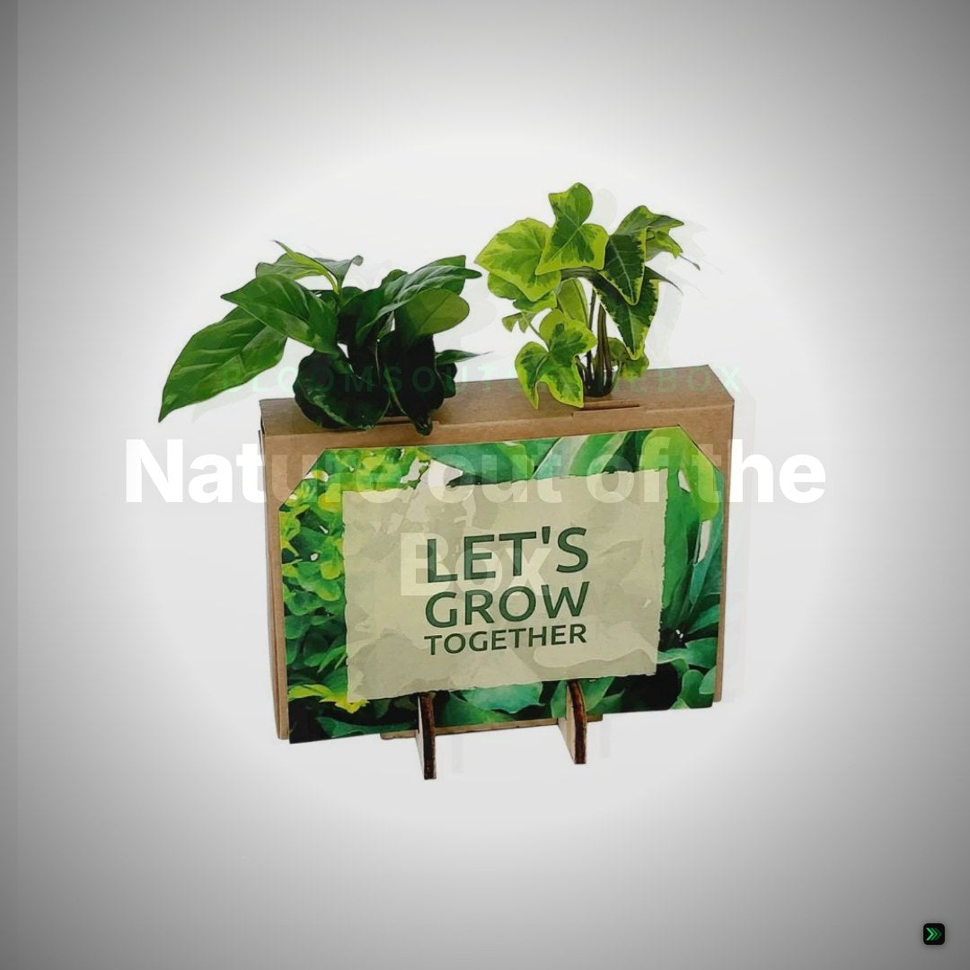 Nature out of the Box - Mini – Clean Showcase