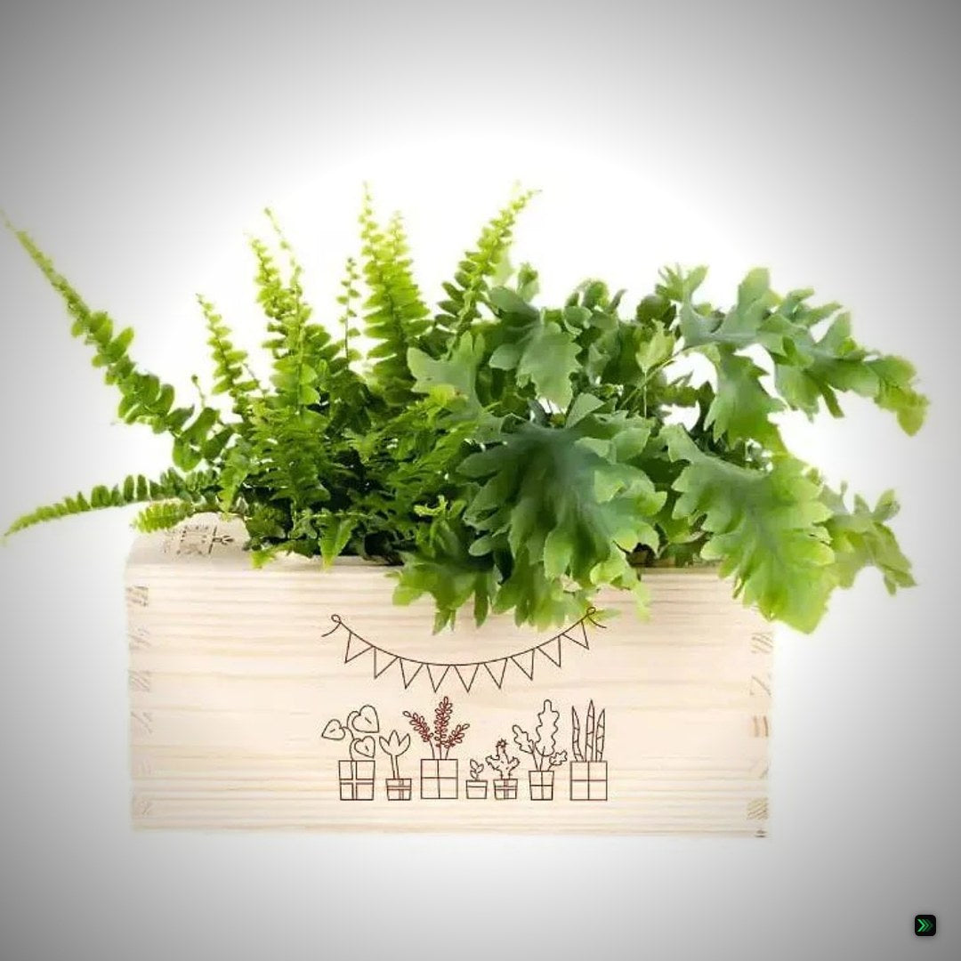 BloomsBox 'Gefeliciteerd' - M – Clean Showcase
