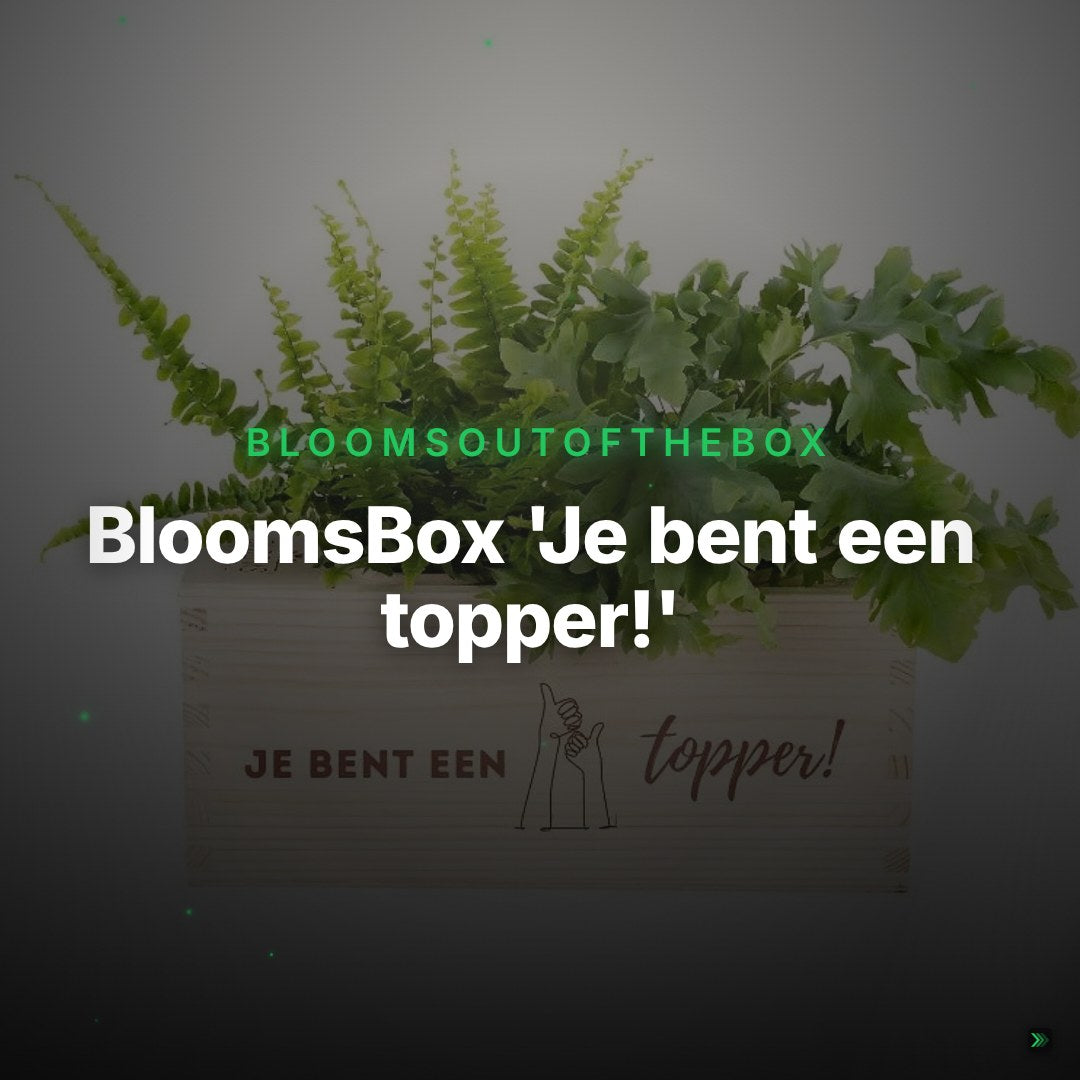 BloomsBox 'Je bent een topper!' - M – Clean Showcase