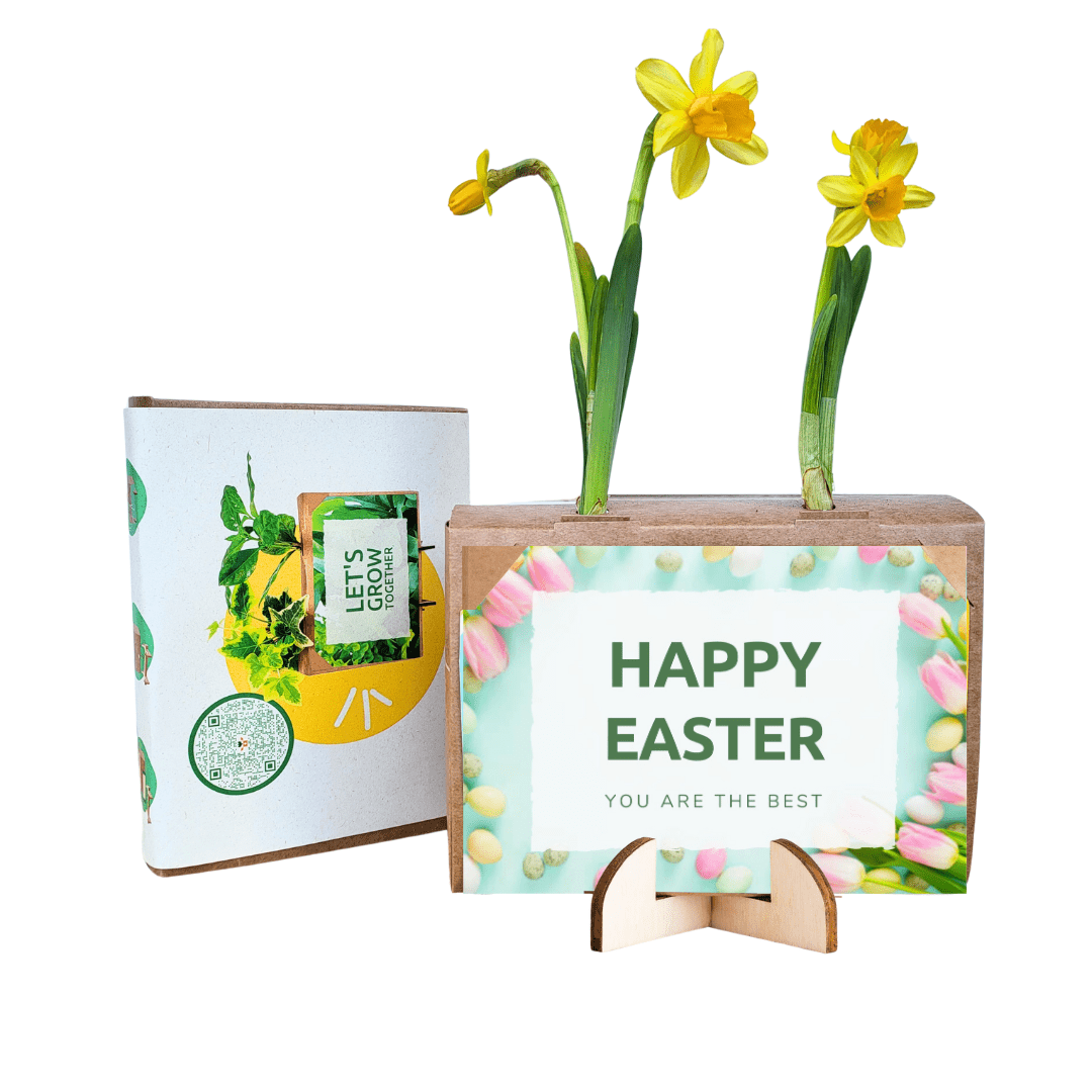 Spring out of the Box - Mini (vanaf 10) - Blooms out of the Box