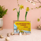 Spring out of the Box - Mini (vanaf 10) - Blooms out of the Box