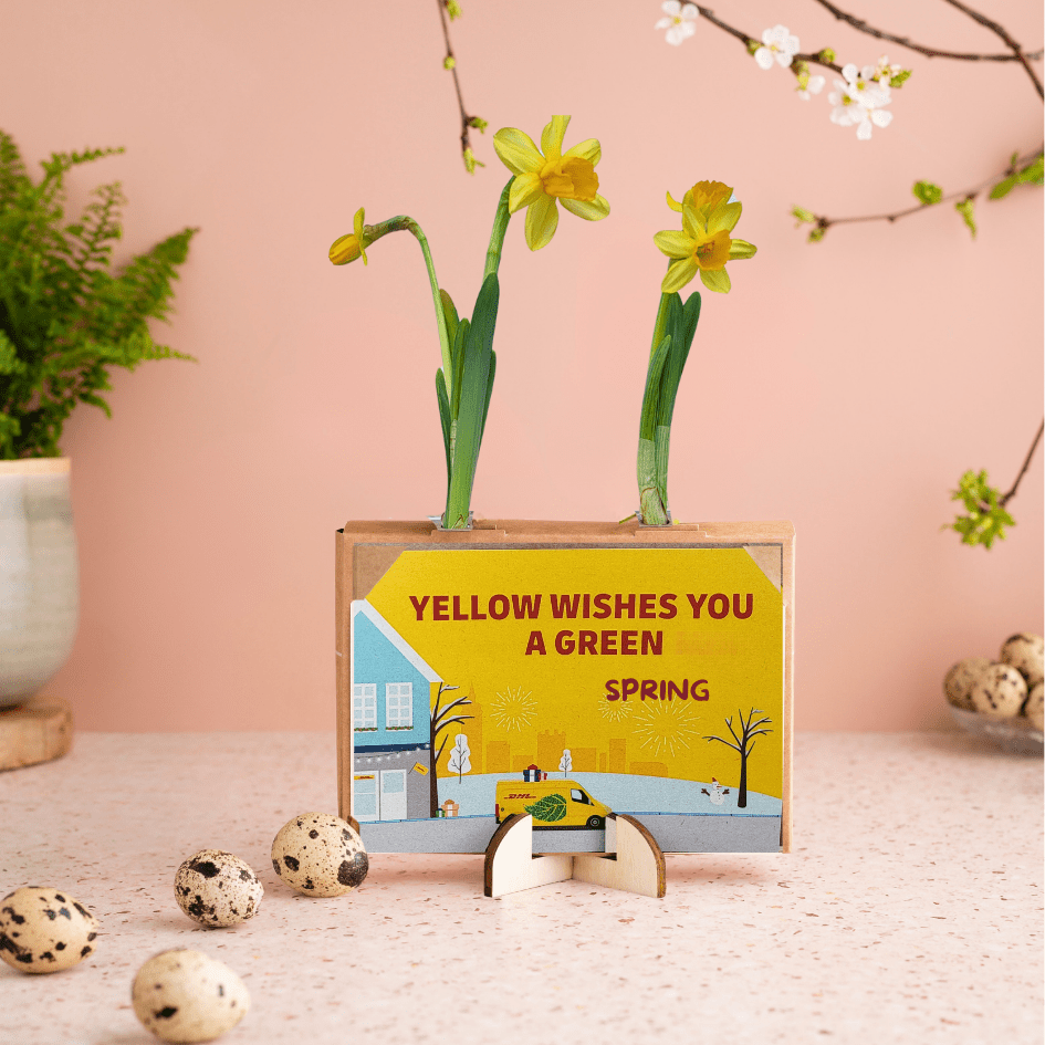 Spring out of the Box - Mini (vanaf 10) - Blooms out of the Box