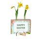 Spring out of the Box - Mini (vanaf 10) - Blooms out of the Box