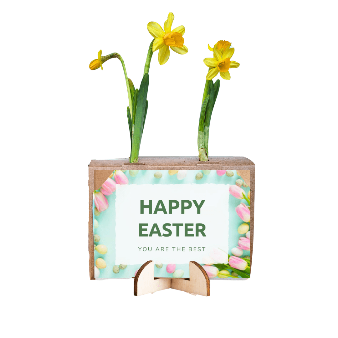 Spring out of the Box - Mini (vanaf 10) - Blooms out of the Box
