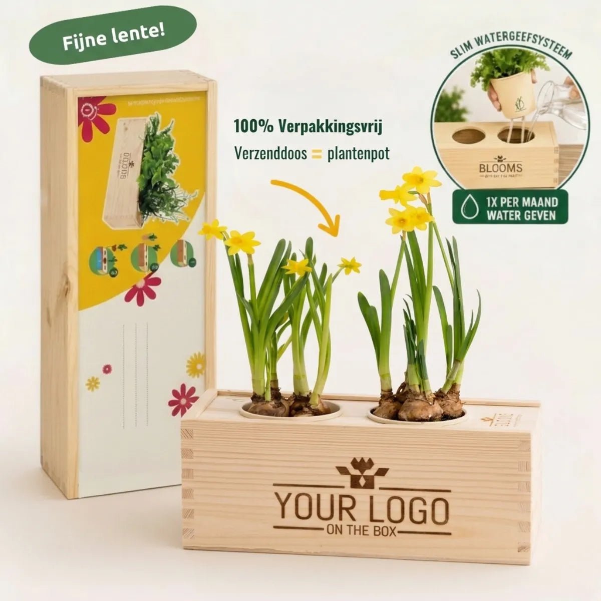 Spring out of the Box 'your design' - M - duurzaam bloem- & plantcadeau | Blooms out of the Box