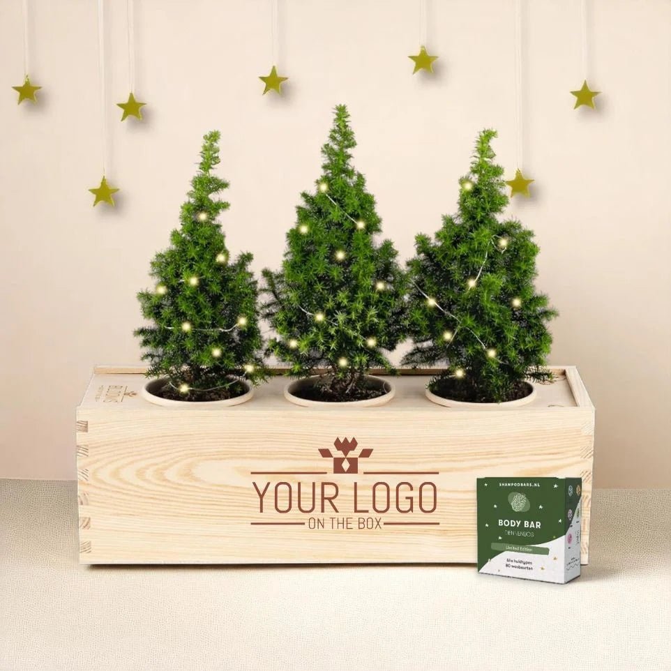 Xmas 'Forest fresh' - L (vanaf 10) - duurzaam bloem- & plantcadeau | Blooms out of the Box
