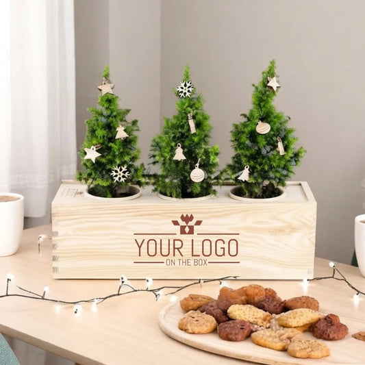 Xmas out of the Box - Decorations (vanaf 10) - duurzaam bloem- & plantcadeau | Blooms out of the Box