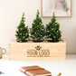 Xmas out of the Box - Lights (vanaf 10) - duurzaam bloem- & plantcadeau | Blooms out of the Box