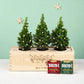 Xmas 'Winter wellness' - L - duurzaam bloem- & plantcadeau | Blooms out of the Box