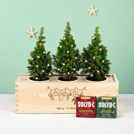 Xmas 'Winter wellness' - L - duurzaam bloem- & plantcadeau | Blooms out of the Box