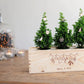 BloomsBox 'Merry Xmas' - Decoration - L - Blooms out of the Box