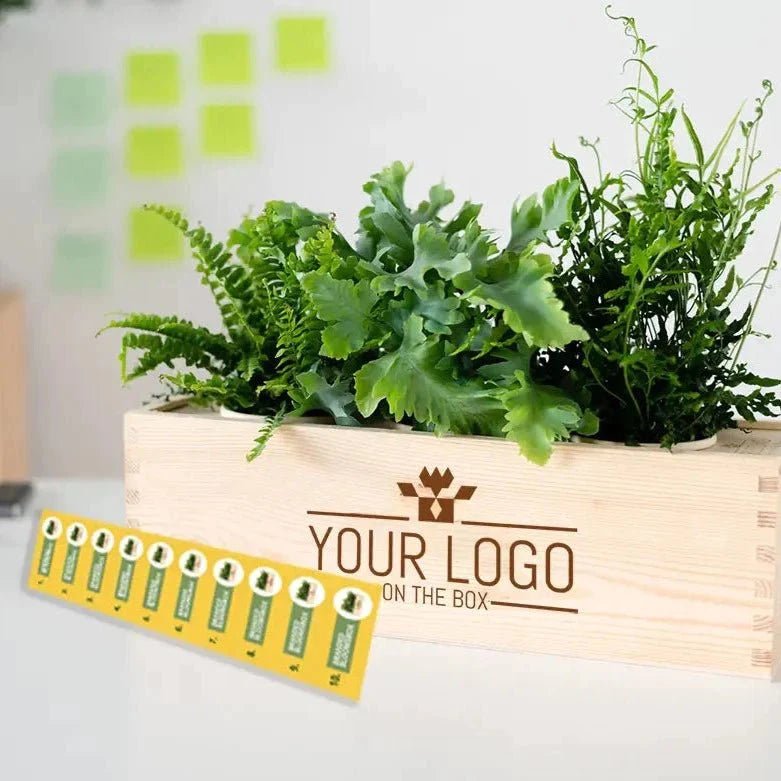 Your personalised BloomsBox in stock Blooms out of the Box