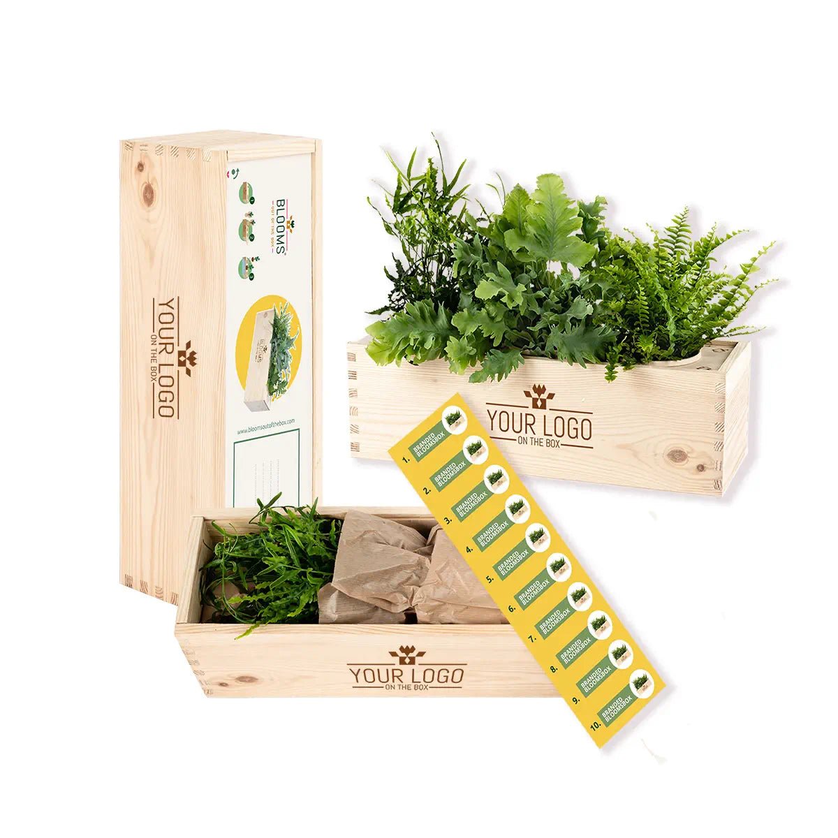 Your personalised BloomsBox in stock Blooms out of the Box