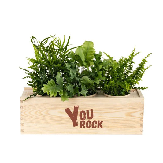 BloomsBox 'You rock' - L - Blooms out of the Box