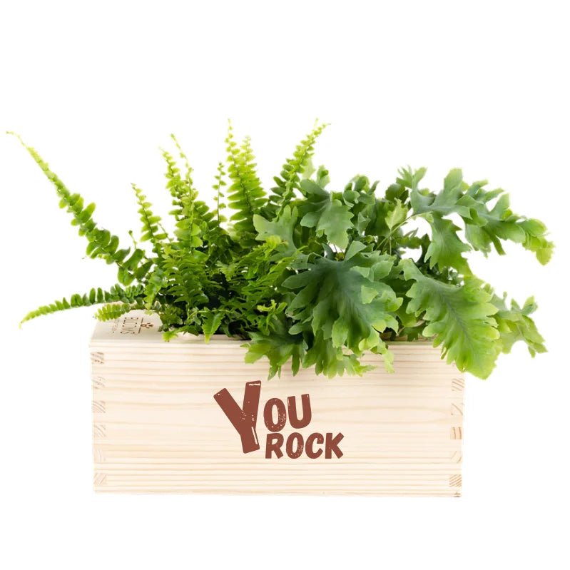 BloomsBox 'You rock' - M - Blooms out of the Box