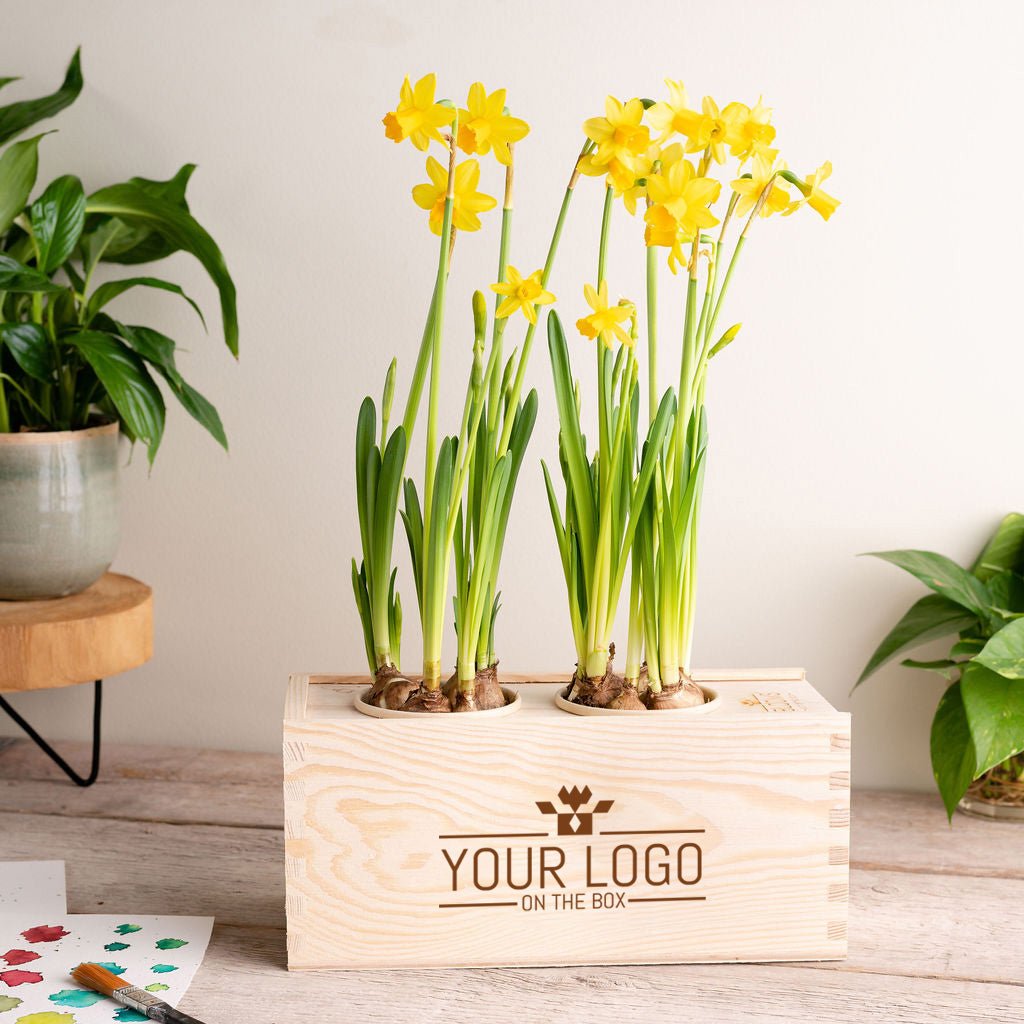 Spring Out Of The most original Easter promotional gift:Spring out of the Box ...